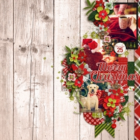 merrychristmasF700.jpg