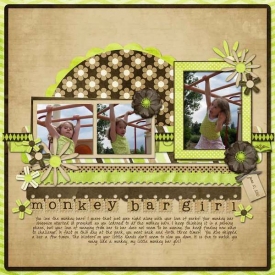 monkeybargirlweb.jpg