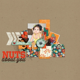nuts2.jpg