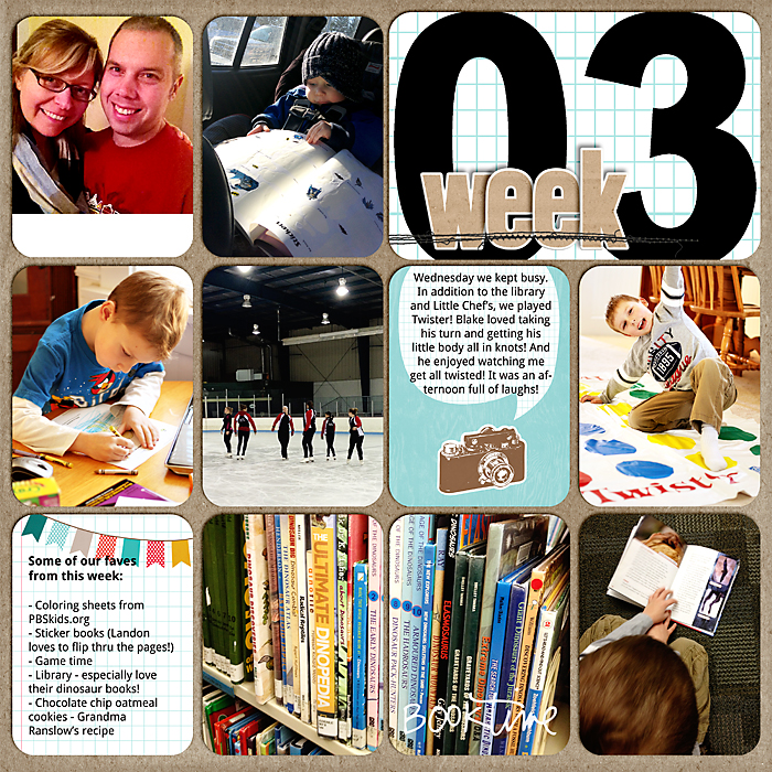01282013week3700