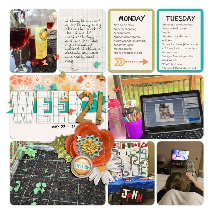 16-PL-week-21a
