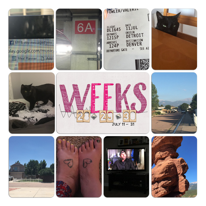 16-PL-weeks-28-30-a
