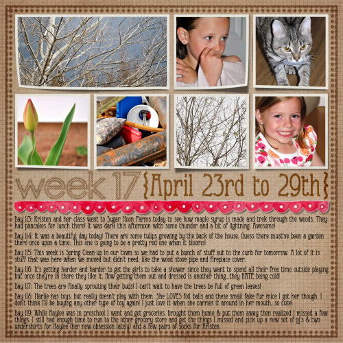 2010Week17LOSample