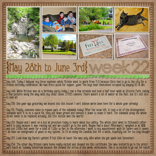 2010Week22LOSample