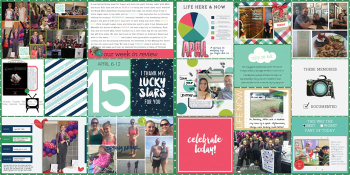 ProjectLifeWeek15_WEB