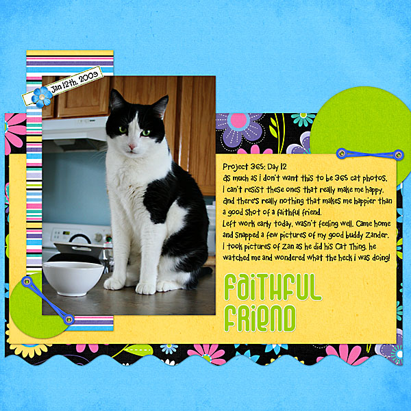 faithful-friend-web