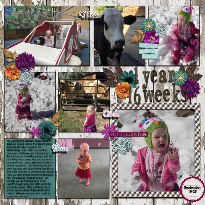 1 year 16 weeks