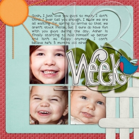 P52-week-13web.jpg