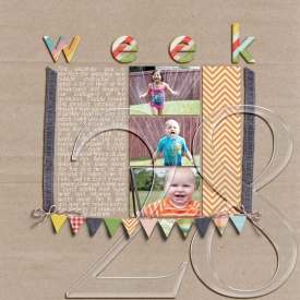 P52-week-28web.jpg