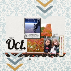 week-42-web.jpg