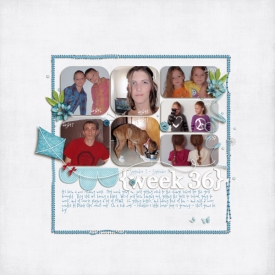 week36small.jpg