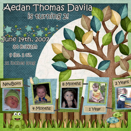 Aedans_2nd_Bday1