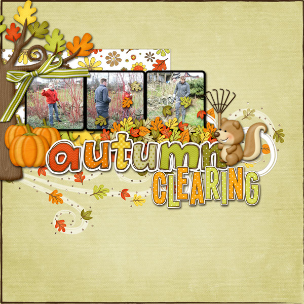 Autumn-Clearing---web