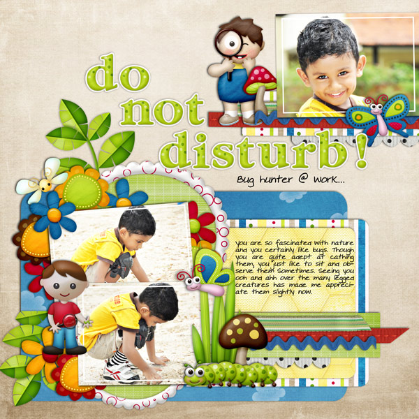 Do-not-disturb-web