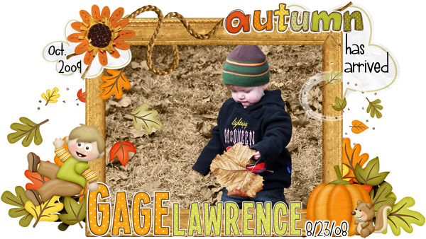 FallenLeaves