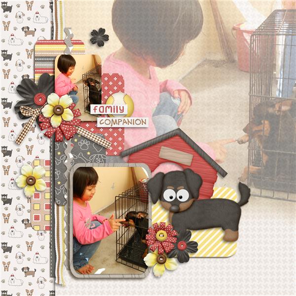 JSD-GP-SET-10-TEMP-D_Custom_