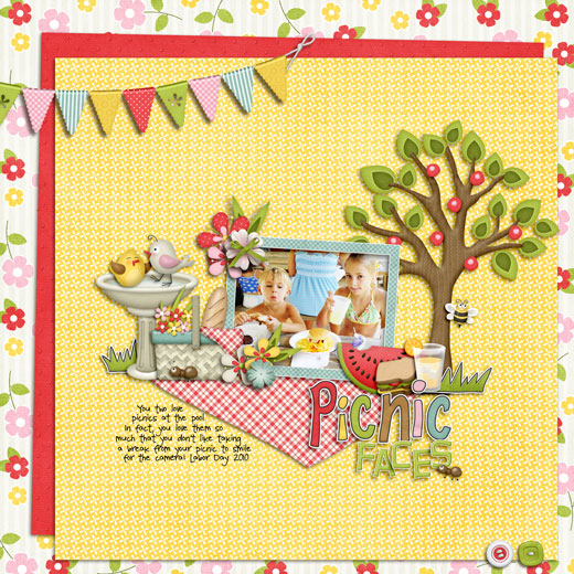 PicnicFaces_WEB_SSD