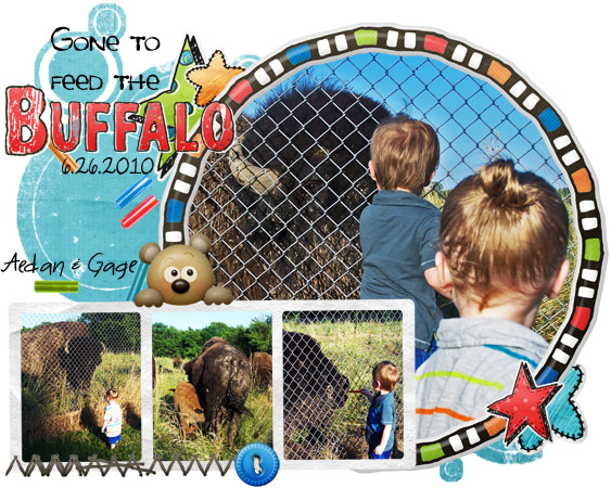 buffalo