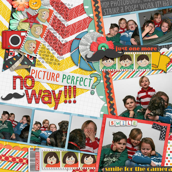 picture_perfect_small