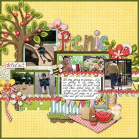 2010_06_28-picnic.jpg