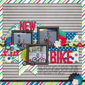 New-Bike4.jpg