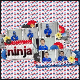 Ninja2.jpg