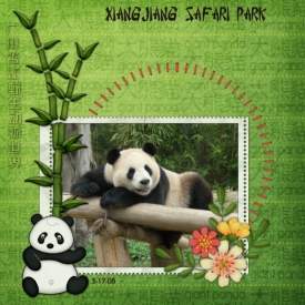 Panda1s.jpg