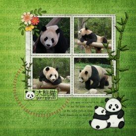 Panda2s.jpg
