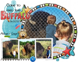 buffalo.jpg