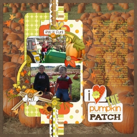 patch2010p4.jpg