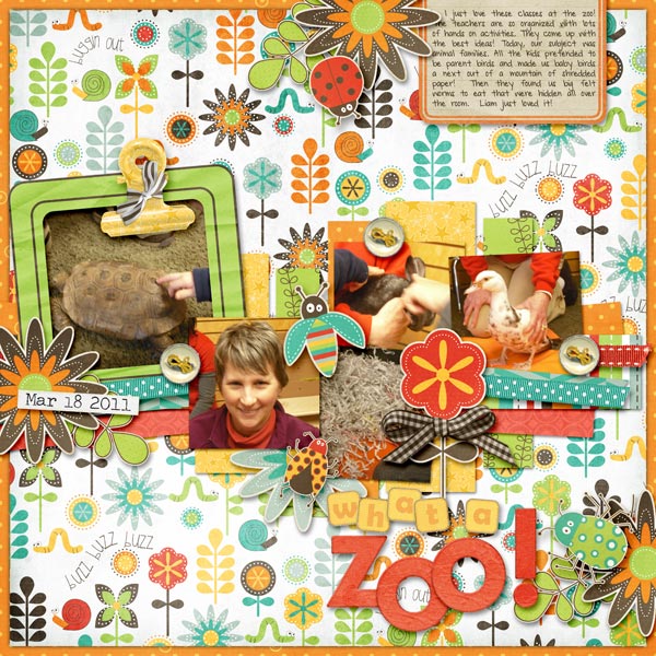 03J-Zoo-Classes-Web