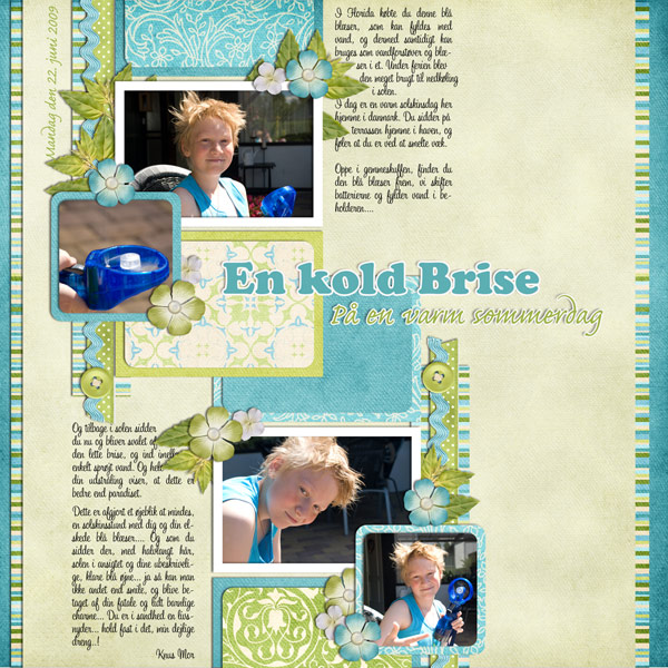 090622---En-kold-brise