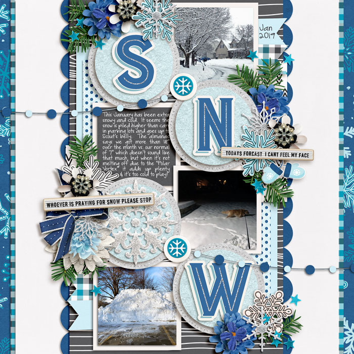 1-19-700SNOW-copy