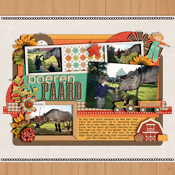 11-10-14-boerenpaard
