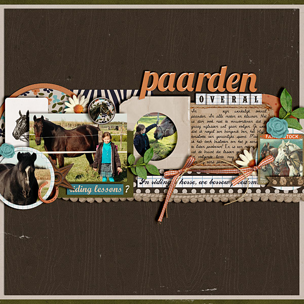 11-11-paarden-overal