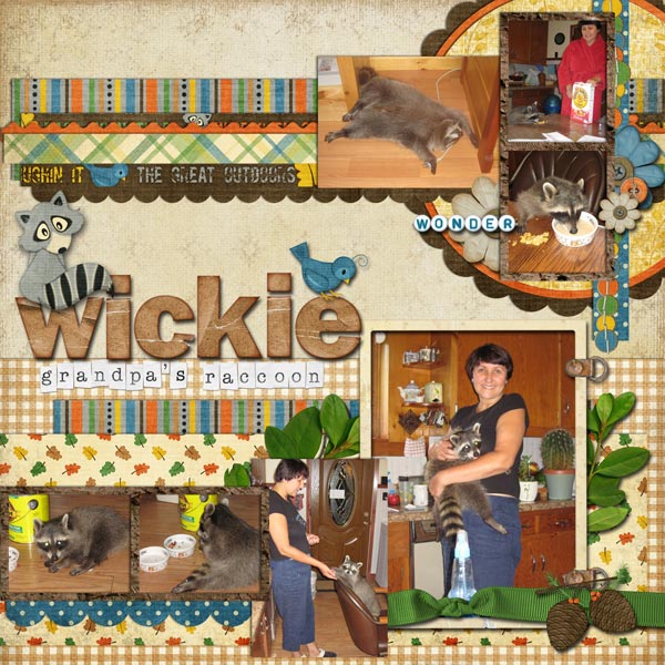 2010_08-wickie-the-raccoonp