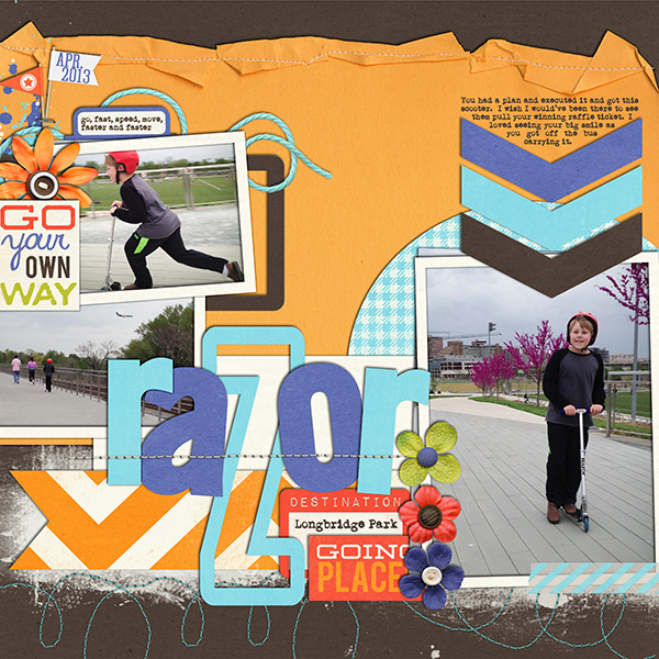 38_2013_razor_600w