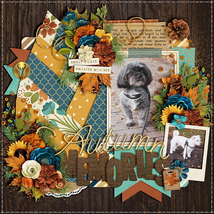 Autumn-memories-700