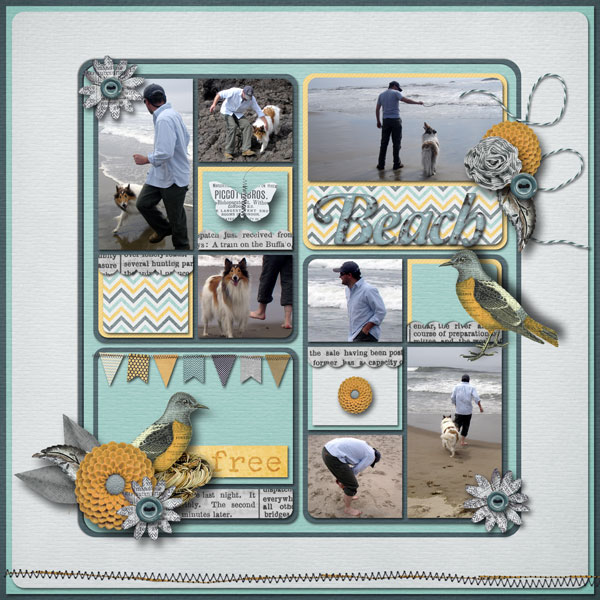 Beach-free