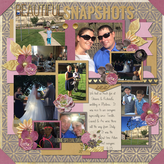 Beautiful_Snapshots_big