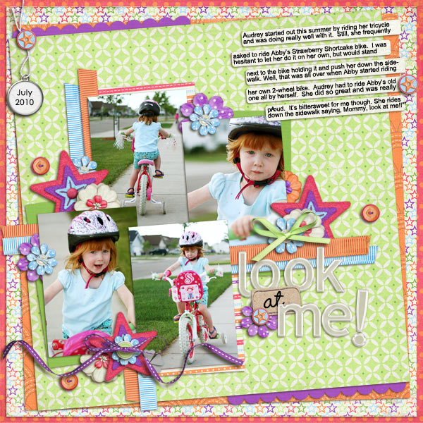 BigGirlBike82_web