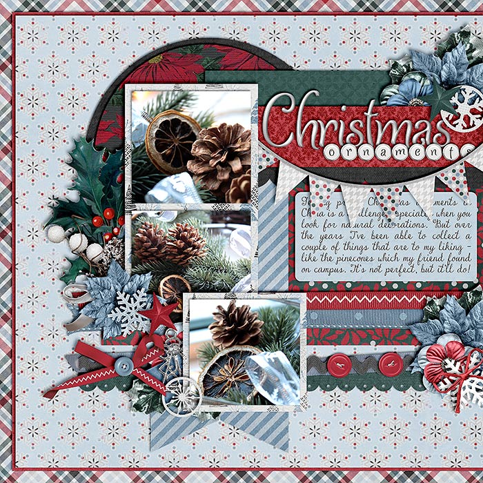 CT-CS-set132pg2-w7