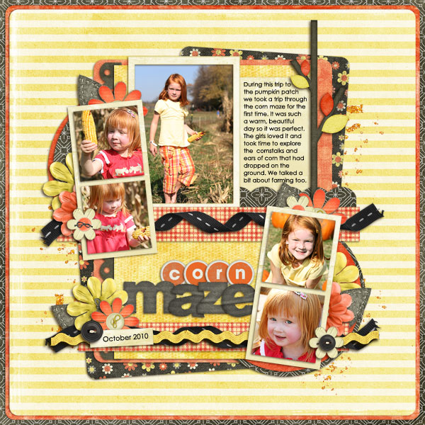 CornMaze88_web