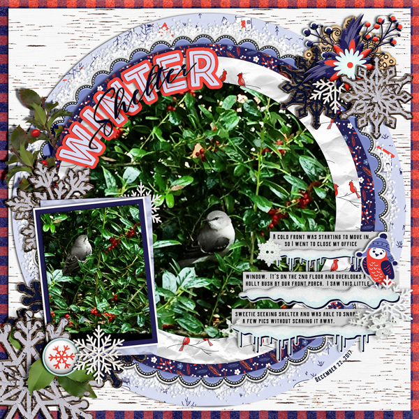 DAY-04_CHANGE-YOUR-VIEW_A-Winter-Bird-In-the-Holly-Bush-_londoncuppa_