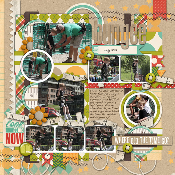 HN-Shrink-A-Bungee-2012