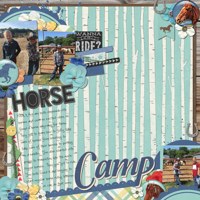 Horse_Camp_big