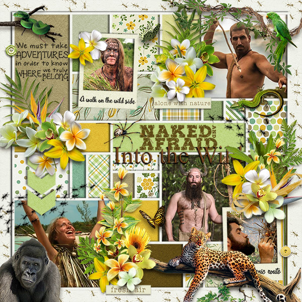 Into-The-Wild