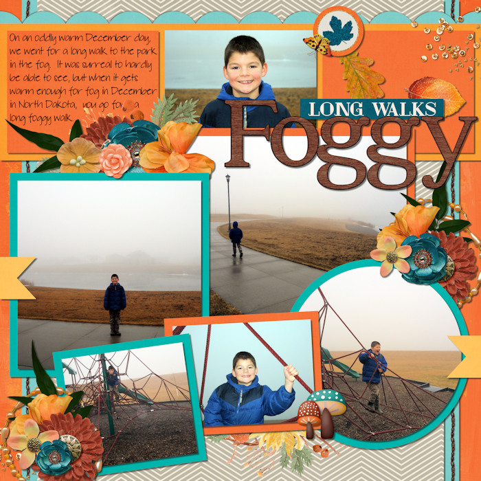 Long_Foggy_Walks_big