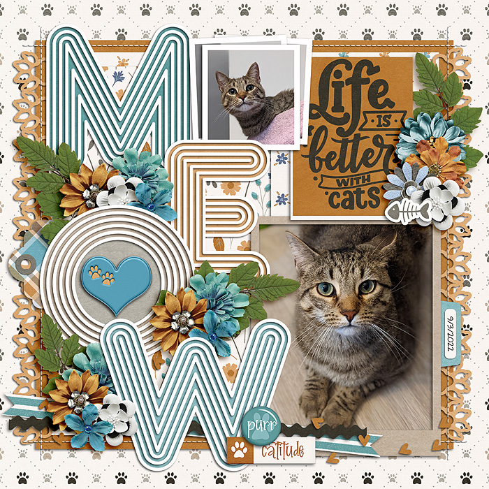 Meow_immaculeah1