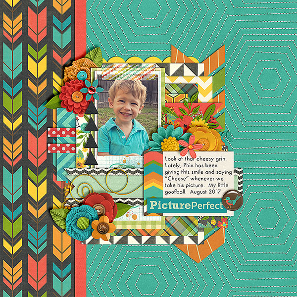 PicturePerfect_cschneider-HP132pg1-copy